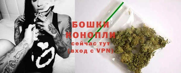 мдпв Гусев