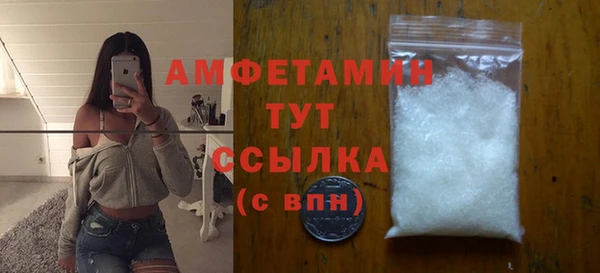 мдпв Гусев