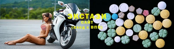 мдпв Гусев