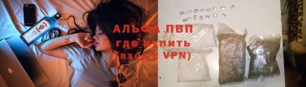 амф Дмитров