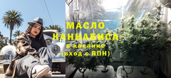 мдпв Гусев