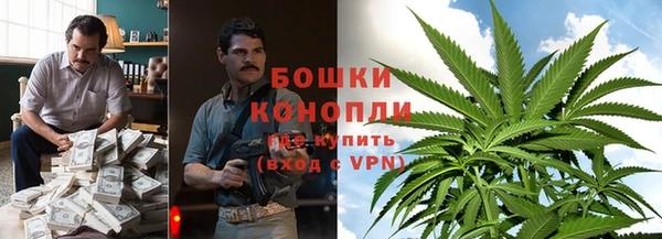 амф Дмитров