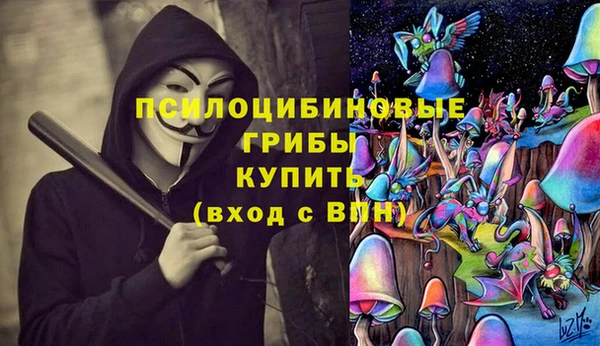 экстази Дмитриев