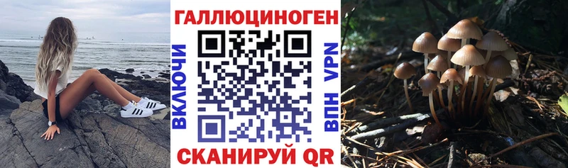 Псилоцибиновые грибы MAGIC MUSHROOMS  Купить где  Ковылкино 