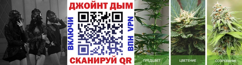 Канабис конопля Ковылкино